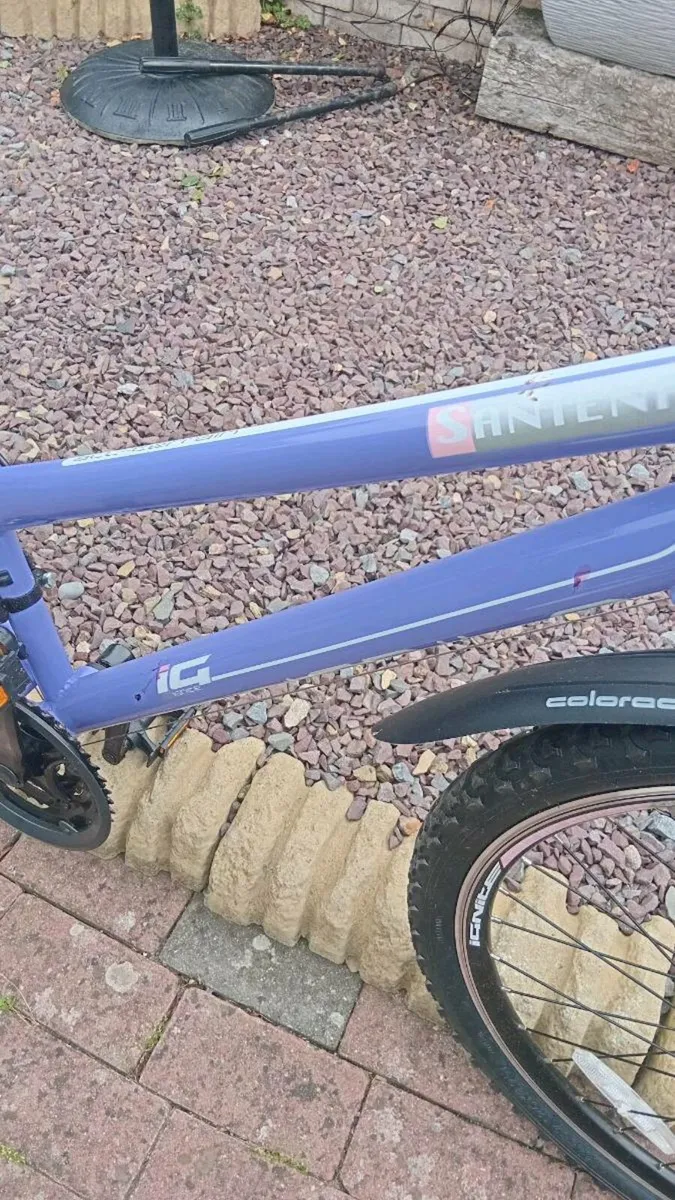 Ladies bike - Image 2