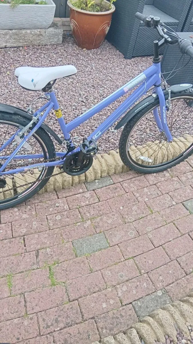 Ladies bike - Image 1