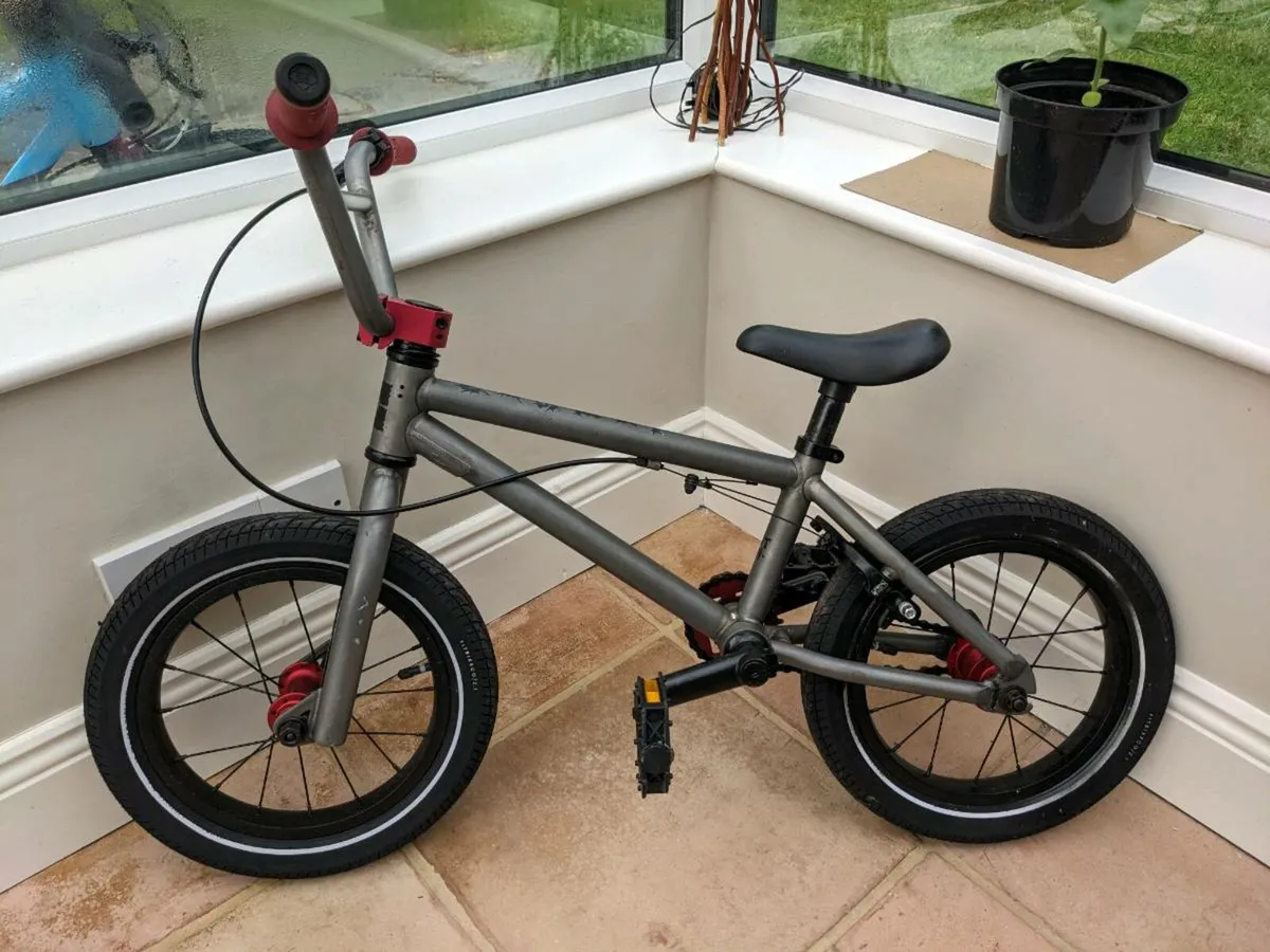 BMX kids - Image 4