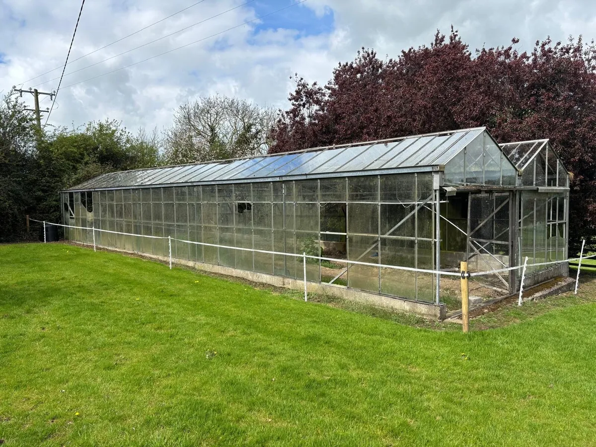 Glass House - Image 1