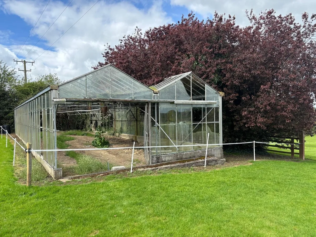Glass House - Image 2
