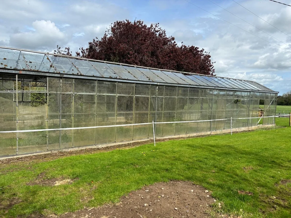 Glass House - Image 3