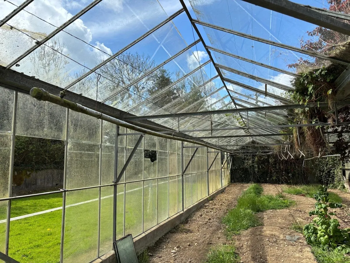 Glass House - Image 4