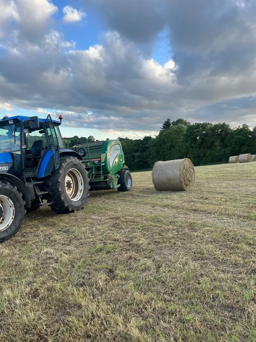 Hay - Image 3