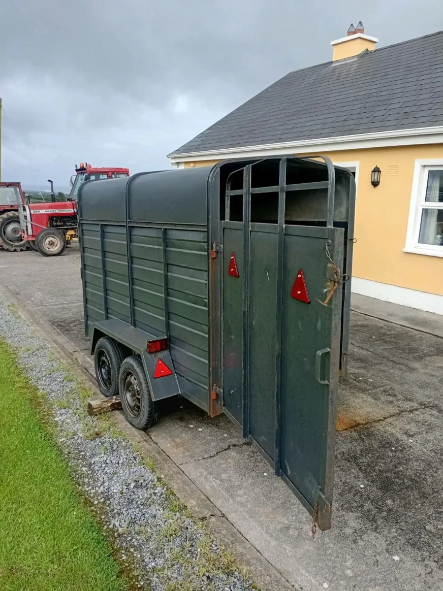 Cow box - Image 2