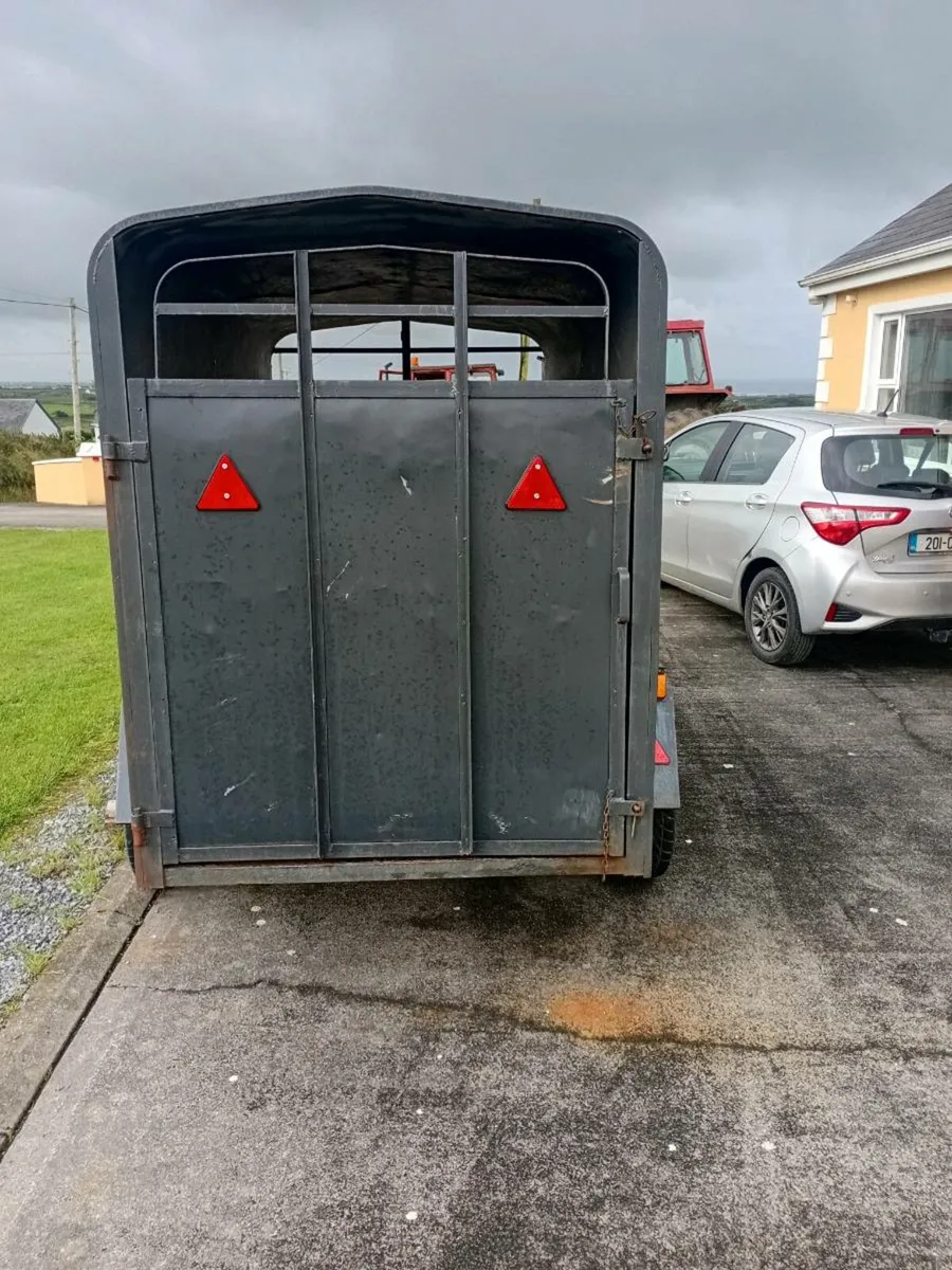 Cow box - Image 4