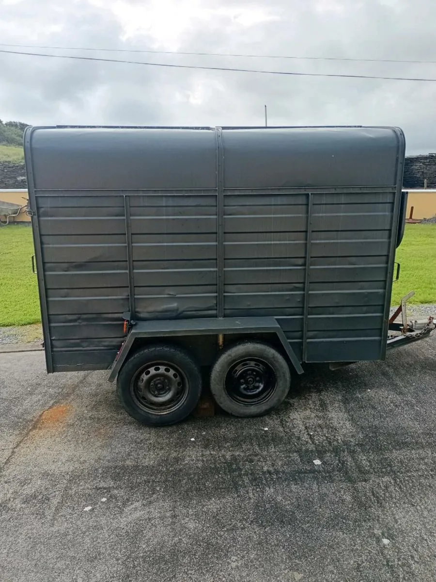 Cow box - Image 1