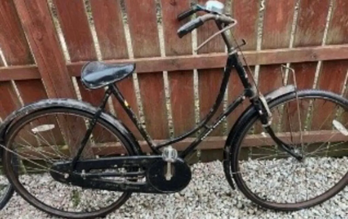 His & hers Highnelly  bikes - Image 1