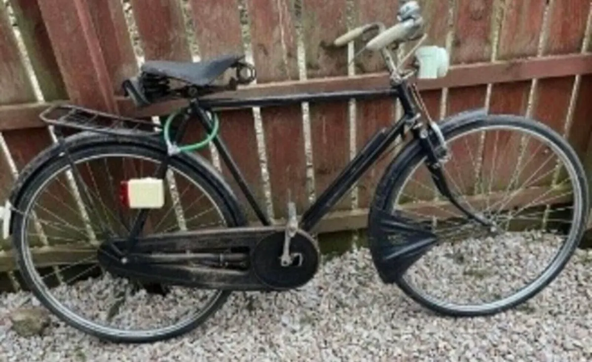 His & hers Highnelly  bikes - Image 2