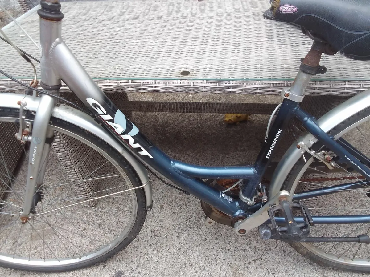lady bike for sale - Image 2