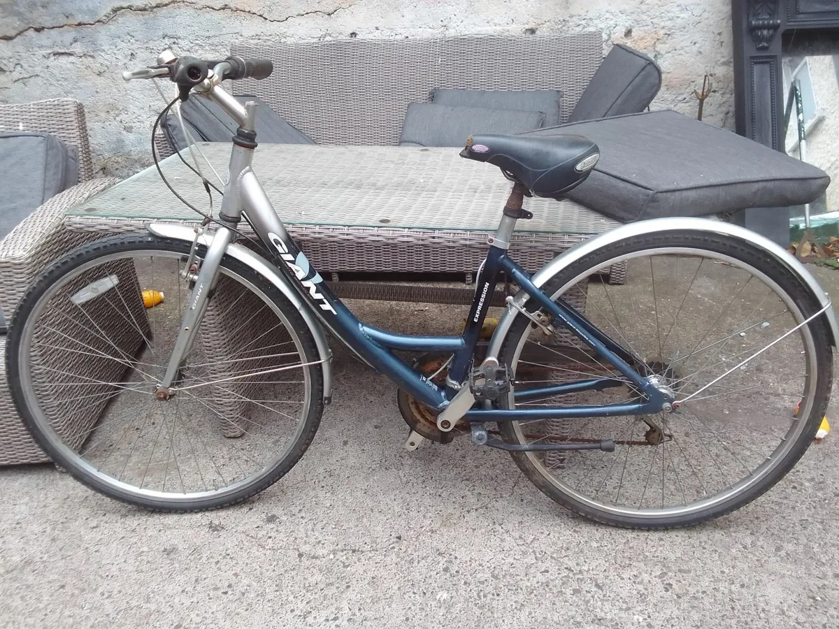 lady bike for sale - Image 1