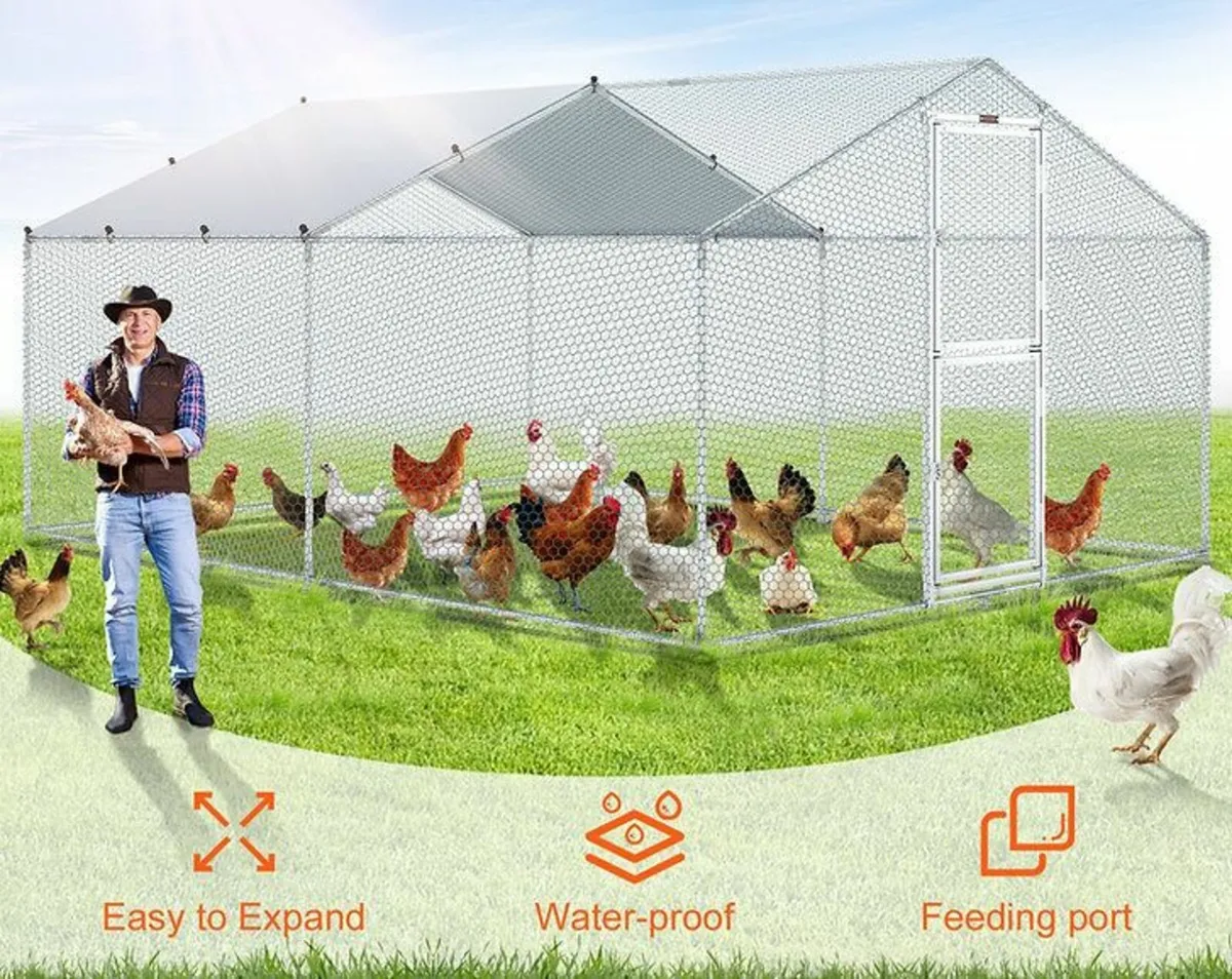 Chicken coop - Image 2