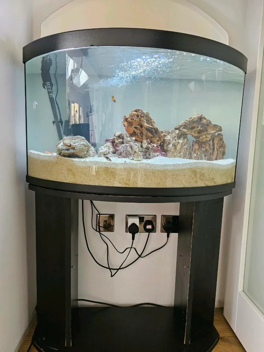 150 lt fish tank - Image 1
