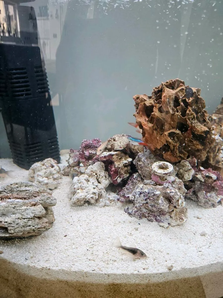 150 lt fish tank - Image 2