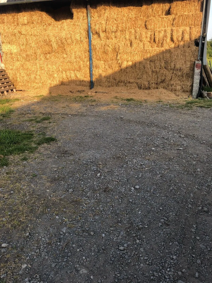 Square bales of hay - Image 1