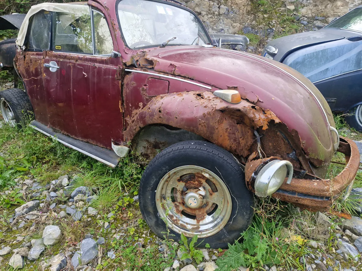VW Beetle convertible - Image 1