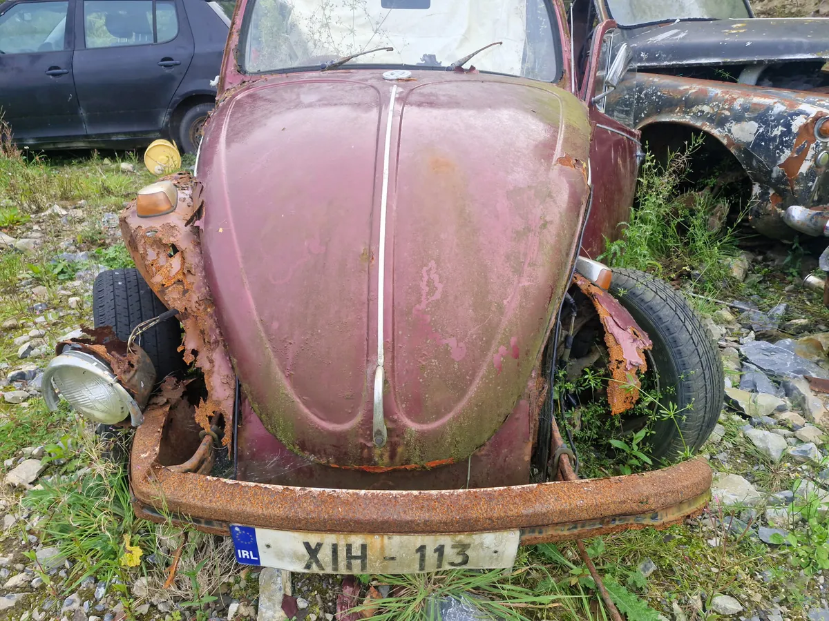VW Beetle convertible - Image 2