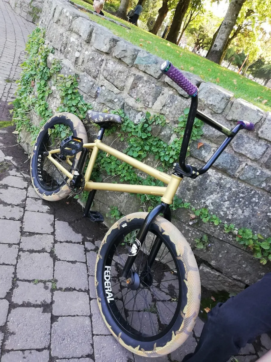 BMX - Image 2
