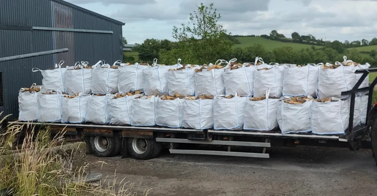Wholesale Ash Firewood - Image 1