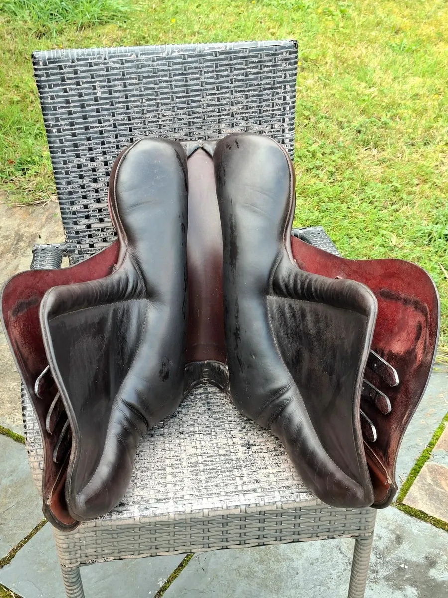 equestrian - Image 2