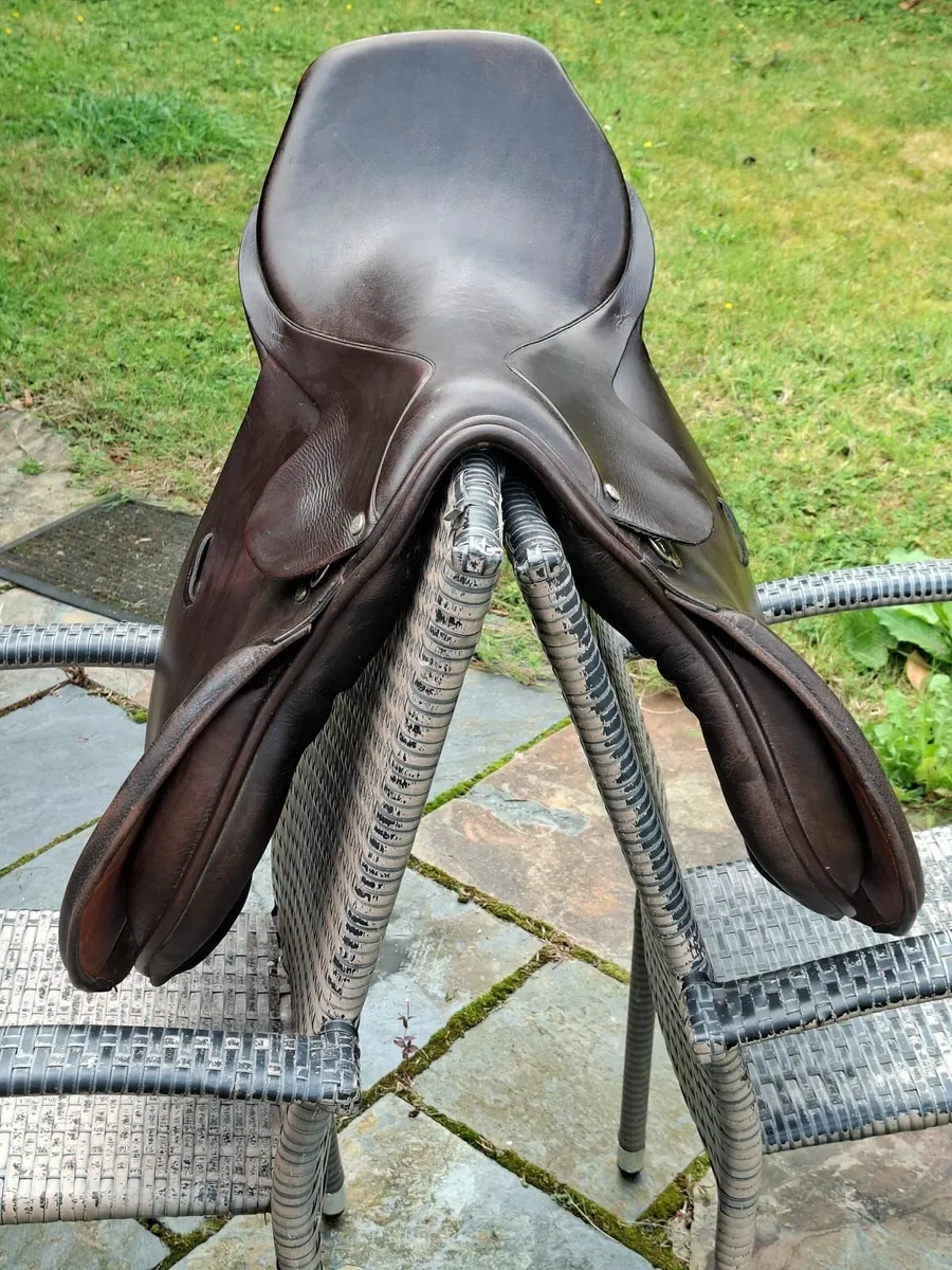 equestrian - Image 3
