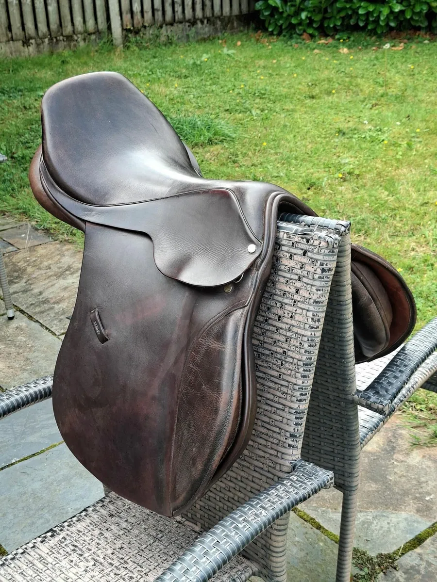 equestrian - Image 1