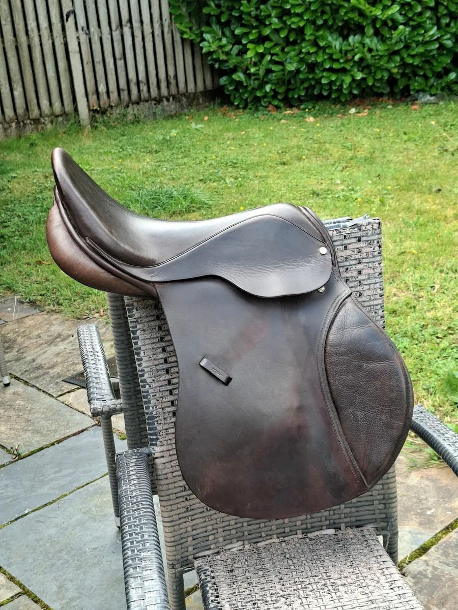 equestrian - Image 4