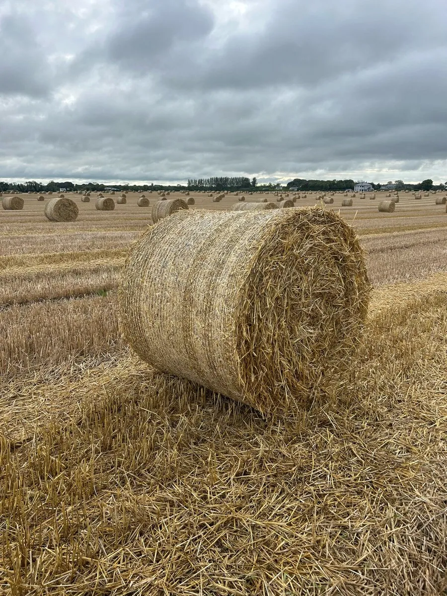Straw - Image 1