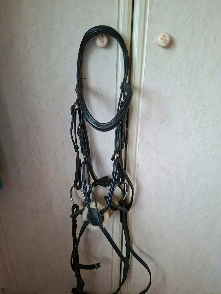 Anatomic grackle bridle - Image 1