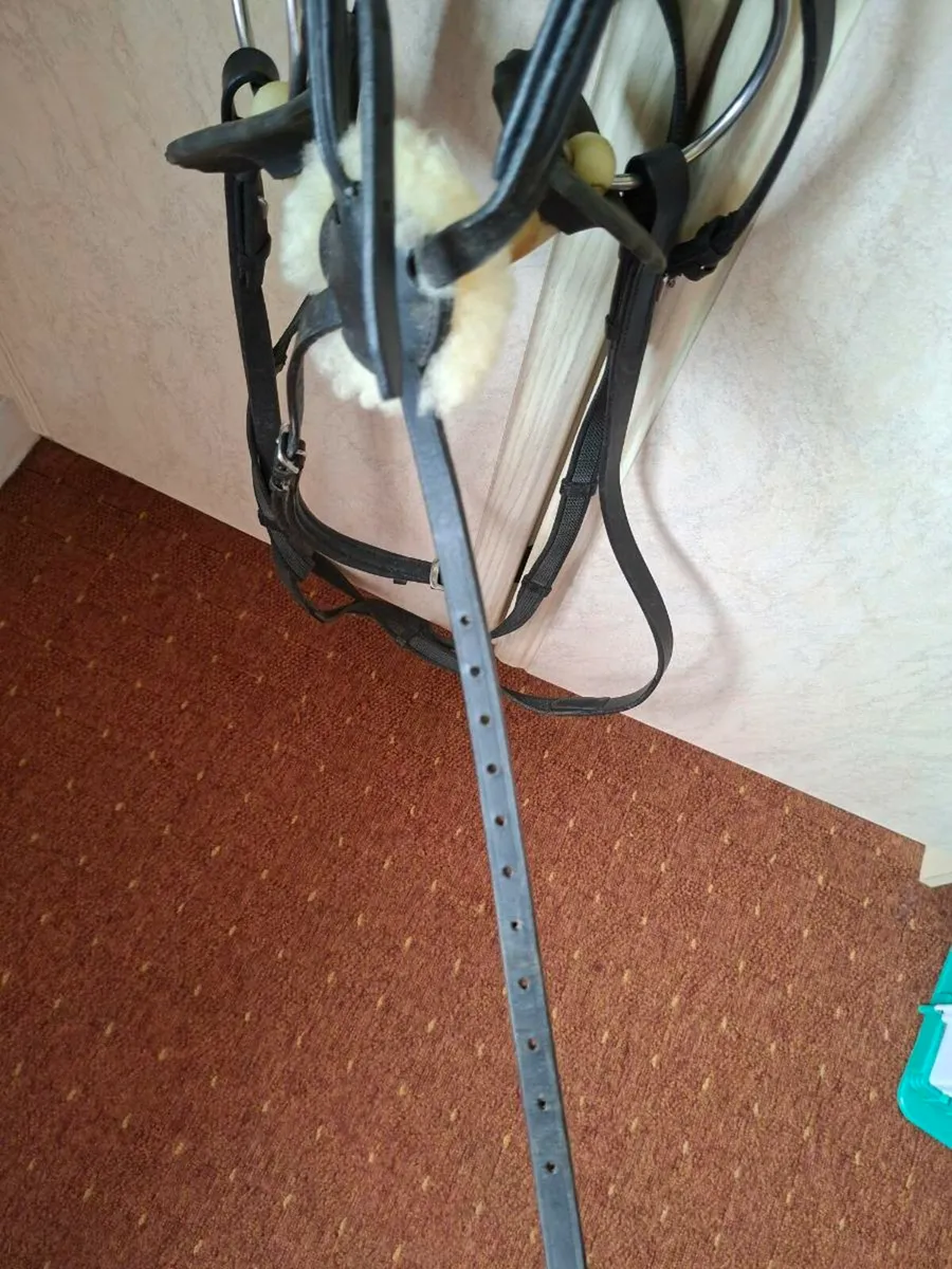 Anatomic grackle bridle - Image 2