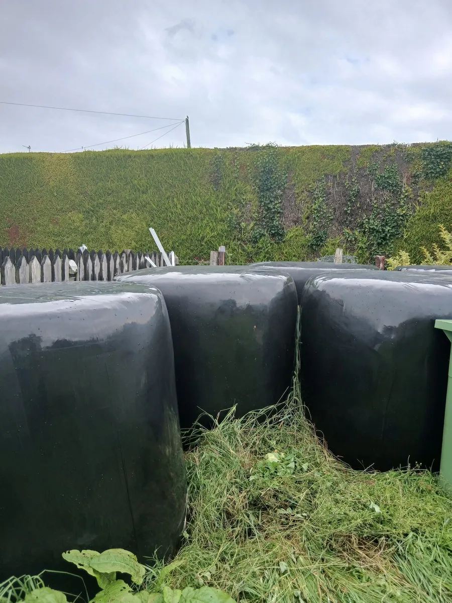Silage for sale - Image 1