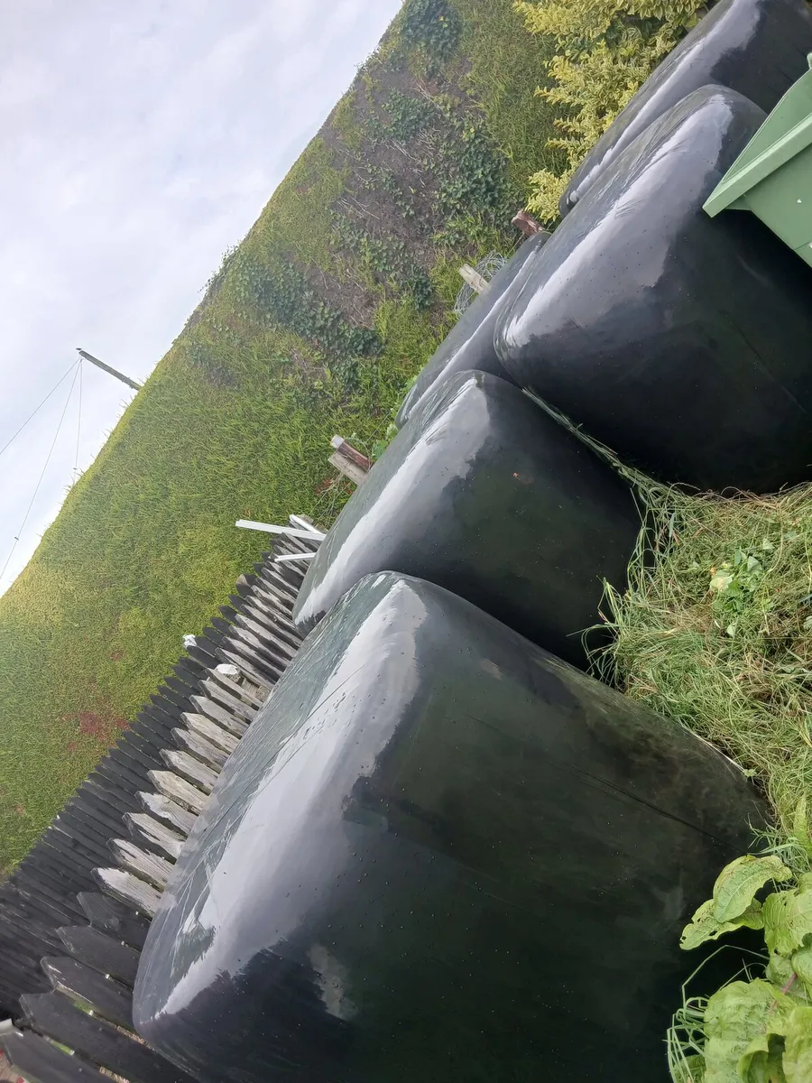 Silage for sale - Image 2