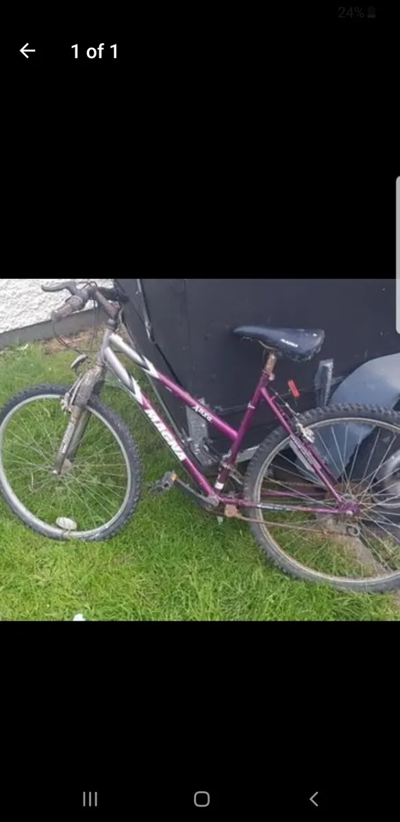 Ladies mountain bike