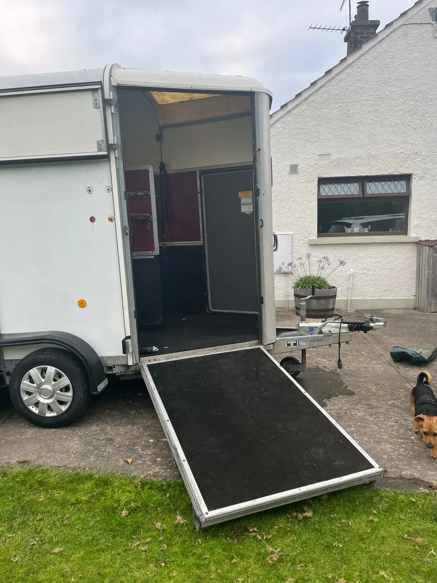 Ifor Williams 506 Horse Box - Image 4