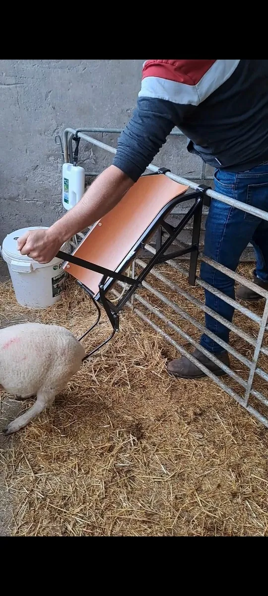 Lamb chutes ( SmythAgri ) - Image 3