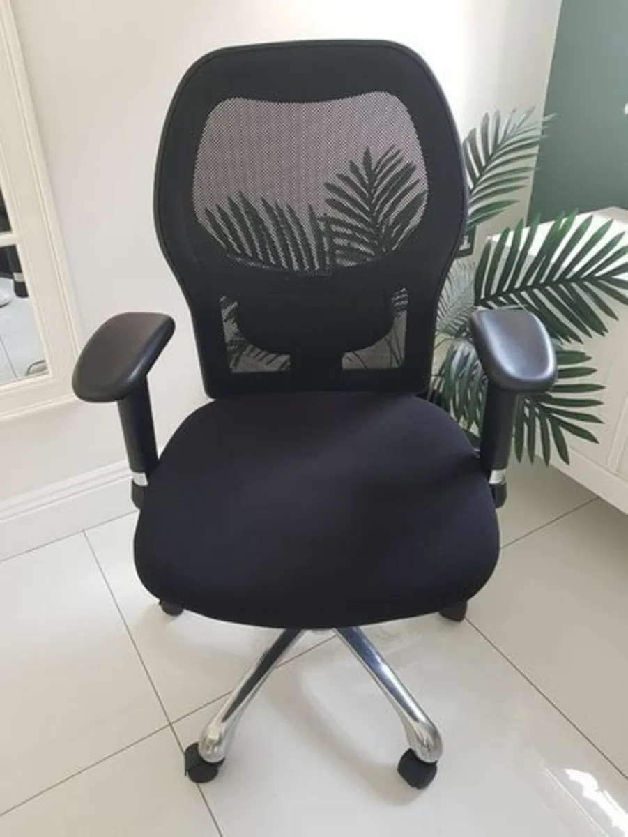 Ergonomic Office Chair - Image 1