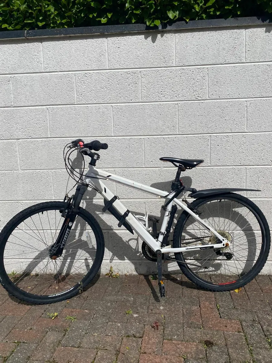 Women's Bicycle in Castletroy - Image 1