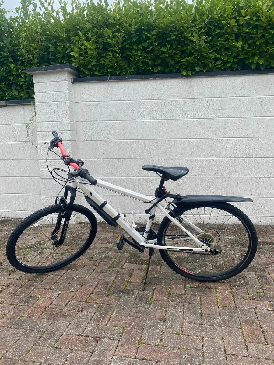 Women's Bicycle in Castletroy - Image 3