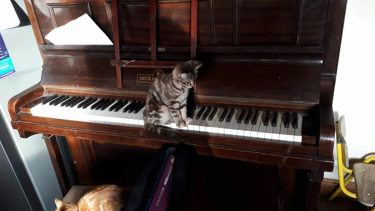 Piano - Image 3