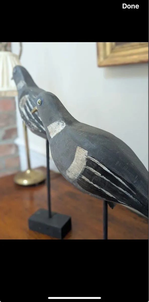 Decoy pigeons - Image 3