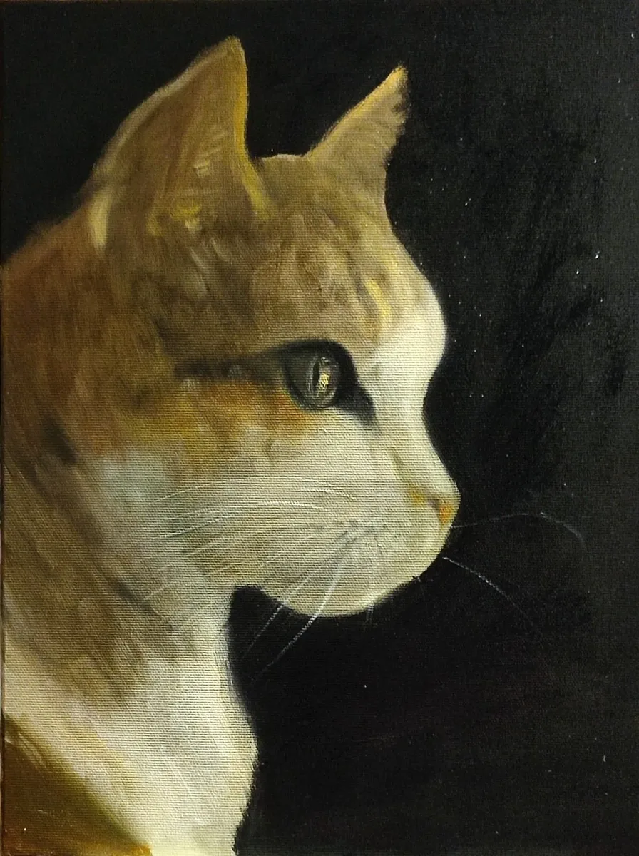 Joanna Drzewiecka - Cat