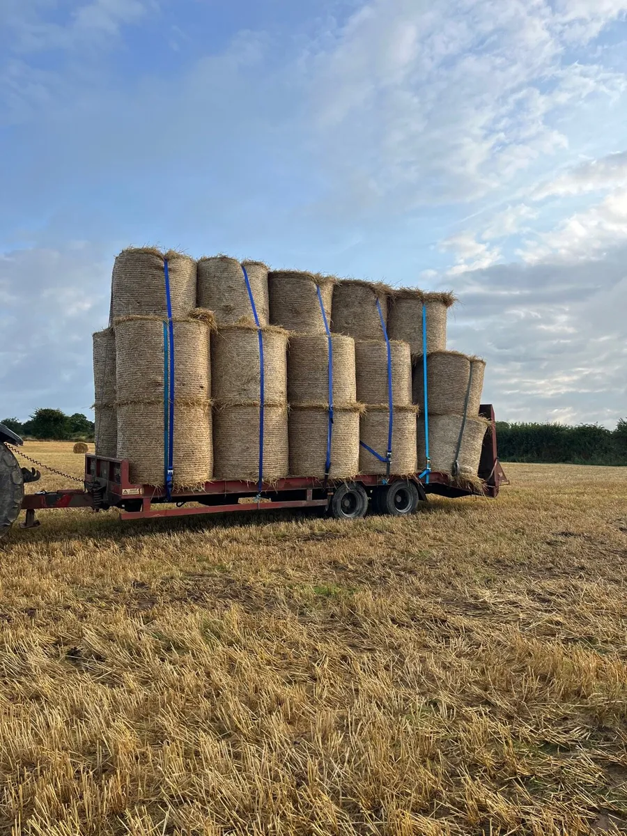 Hay&straw - Image 1