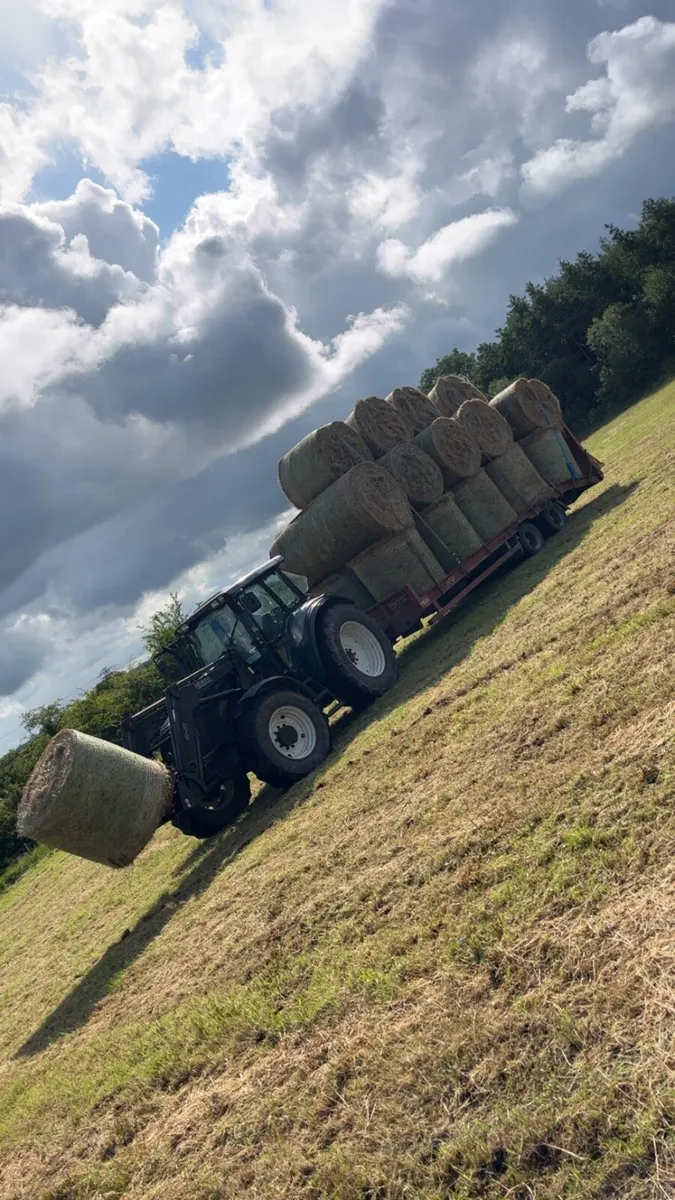 Hay&straw - Image 2