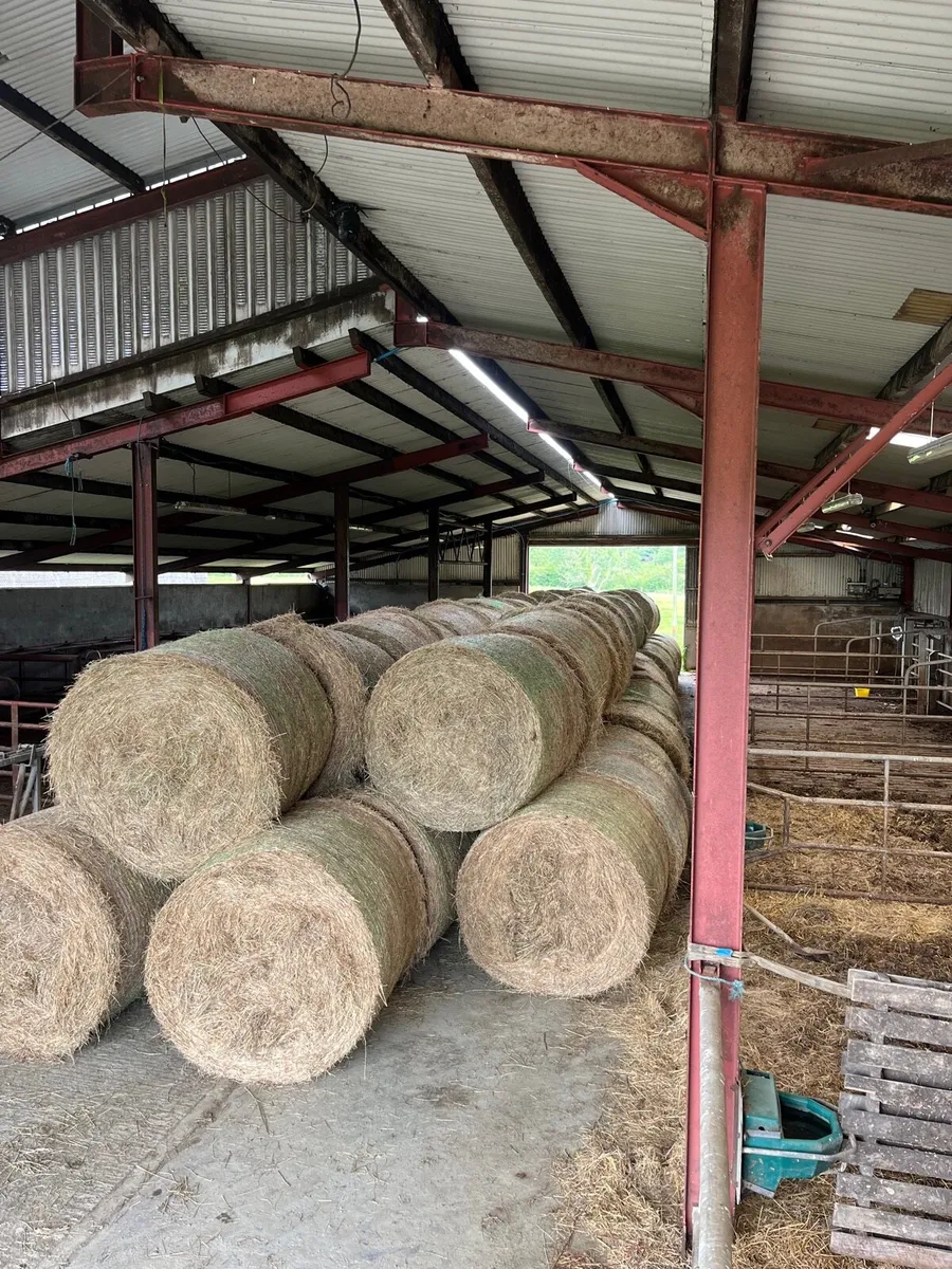 Hay&straw - Image 3