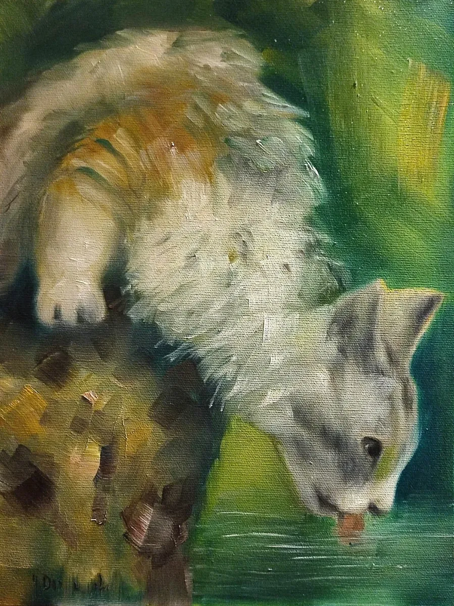 Joanna Drzewiecka - Cat