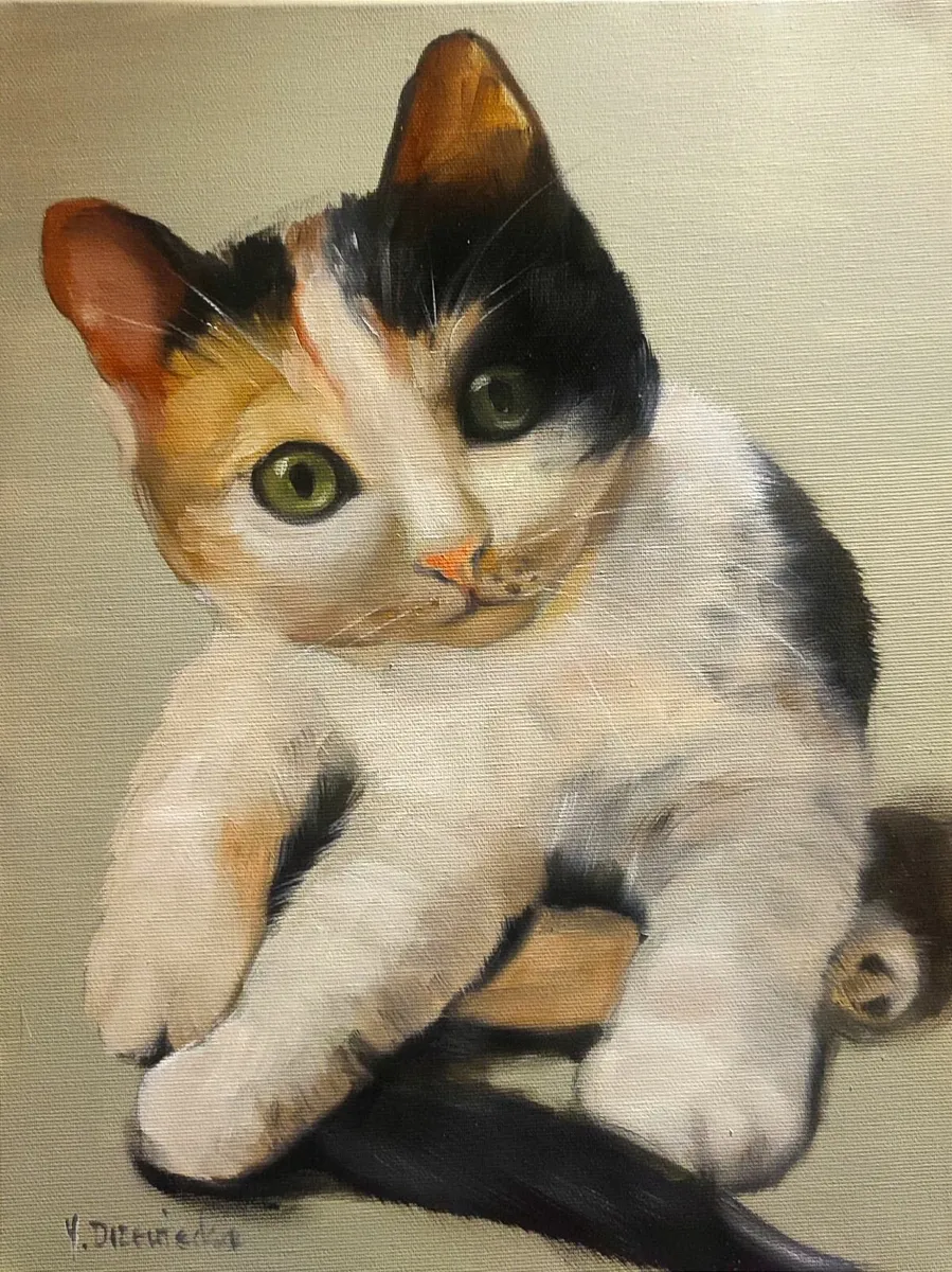 Joanna Drzxewiecka - Kitten