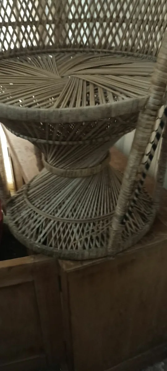 Peacock Chair - Image 4