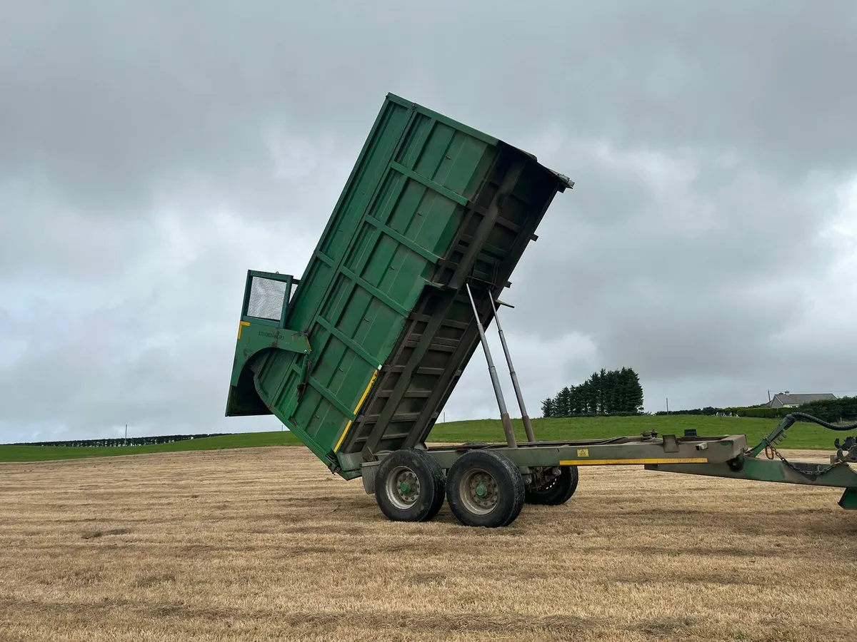 Silage/Grain Trailer - Image 2