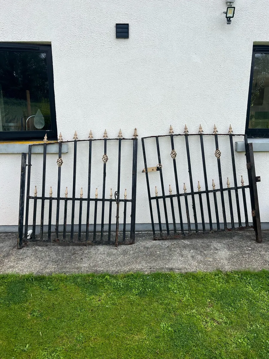 Wrought iron ornate gates - Image 1