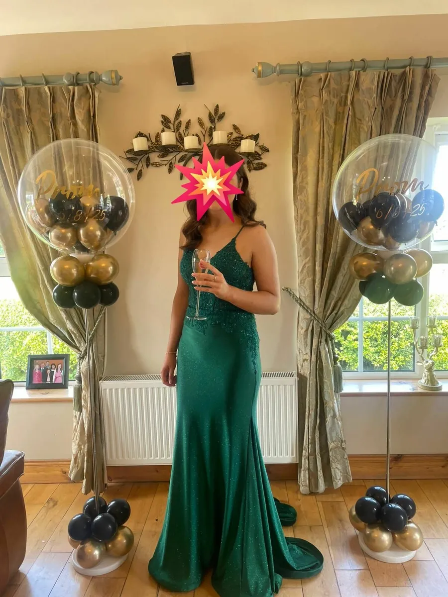Prom /Debs Dress - Image 1